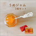 梅 うめ ジャム 2瓶 セット 国産 ギフト スイーツ 贈り物 お礼 お祝い プレゼント 誕生日 母の日 父の日 お中元 お歳暮 手作り 素材 【うめジャム2瓶...