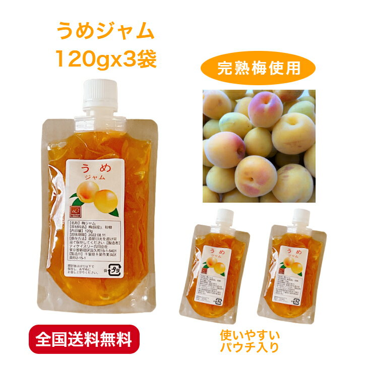梅 うめ ジャム パウチ 3袋 完熟 国産 お試し 自宅用 プチギフト 手作り 素材