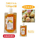 梅 うめ ジャム パウチ 2袋 完熟 国産 お試し 自宅用 プチギフト 手作り 素材