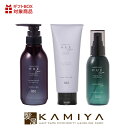 【LINE登録で300円クーポン】ナンバースリー ヒュウケア ナリシング シャンプー 300ml+トリートメント 200g+スカルプセラム+ 120ml 計3個...