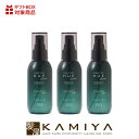 【全商品対象クーポン配布中】ナンバースリー ヒュウケア スカルプセラム+ 120ml×3個セット|no3 hue care 頭皮ケア 頭皮 ケア 女性 頭皮 乾燥 ケア 頭皮 におい ケア スキャルプ スカルプ ケア 頭皮用化粧水 頭皮用美容液 頭皮マッサージ 頭皮 化粧水 頭皮