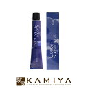 【全商品対象クーポン配布中】ナンバースリーカラーコンシャス グレイライン第1剤 80g【ニュートラル】|カラー剤 プロ専用商品 業務用カラー剤 ヘアカラー 美容院専売