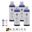【全商品対象クーポン配布中】アレスカラー シャンプー 200ml×4個セット|ムラサキ ピンク ales color ヘアカラー カラーケア カラーケアシャンプー シャンプー 美容室専売 サロン専売品 シャンプー サロン シャンプー ボトル 本体 トライアル お試し ヘアケア