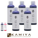 【全商品対象クーポン配布中】アレスカラー シャンプー 200ml×5個セット|ムラサキ ピンク ales color ヘアカラー カラーケア カラーケアシャンプー シャンプー 美容室専売 サロン専売品 シャンプー サロン シャンプー ボトル 本体 トライアル お試し ヘアケア