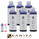 【全商品対象クーポン配布中】アレスカラー シャンプー 200ml×6個セット|ムラサキ ピンク ales color ヘアカラー カラーケア カラーケアシャンプー シャンプー 美容室専売 サロン専売品 シャンプー サロン シャンプー ボトル 本体 トライアル お試し ヘアケア
