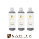 【LINE登録で300円クーポン】アレスカラー シルバー トリートメント 200ml×3個セット|アレス カラーシャンプー カラートリートメント カラーヘア ブリーチ ダメージケア 褪色 黄ばみ ブルー系 ハイトーン ハイライト インナーカラー 本体 美容院専売