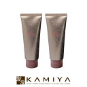 【全商品対象クーポン配布中】アリミノ スパイスチューブ グロス 100g×2個セット|arimino チューブ 本体 トライアル お試し ヘアクリーム ヘアーク...