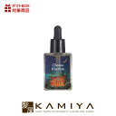 ジュリエットレイ クロノリズム COCORO潤す美容液 50ml|ストレスケア 生活リズム ストレス 肌トラブル 美容液 スキンケア セラム 美容 ホルモン ローズ 香り ローズの香り ブレインコスメ セロトニン メラトニン オキシトシン エンドルフィン ドーパミン