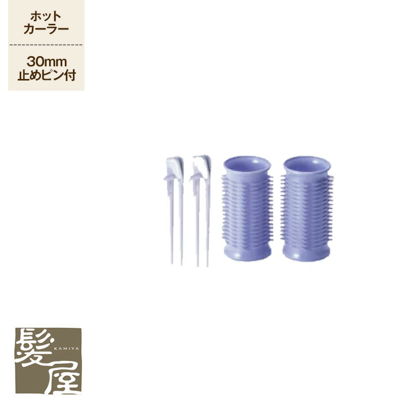 【LINE登録で300円クーポン】アイビル ホットカーラー 2個 (30mm) 美容院専売