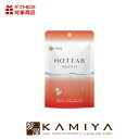 【LINE登録で300円クーポン】薬用 HOTTAB ホットタブ WELLNESS|9錠入 45錠入 90錠入 高濃度 重炭酸 炭酸泉 炭酸ガス イオン タブレ...
