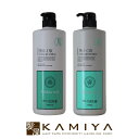 【美容家電10%クーポン配布中】千代田化学 デラクシオ プロ CMC フローラルミックス シャンプー 1000ml+トリートメント 1000g 計2個 ポンプセット|PRO-CMC プロCMC フローラル ミックス 無着色 シリコンフリー ノンシリコン ノンシリコーン