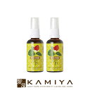 【美容家電10%クーポン配布中】C&WORLD MHS オーガニック 生ツバキ油 50ml×2個セット|潤う しっとり まとまる ボトル 本体 ポンプ スキンケア しみ そばかす 肌 ふっくら シミ ソバカス ケア 透明感 ヘアオイル ヘアーオイル 濡れ髪
