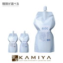 【LINE登録で300円クーポン】【プロ専用商品(業務用カラー剤)】デミ ディベロッパー 2剤 1000ml|カラー剤 デミ 美容室 おすすめ品 デミ おすすめ品 美容院専売