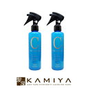 【全商品対象クーポン配布中】エルコス CMCケアミスト エイド 200ml×2個セット(洗い流さないトリートメント) 美容院専売