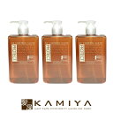 【LINE登録で300円クーポン】フィヨーレ Fプロテクト ヘアシャンプー DX 300ml×3個セット|フィヨーレ おすすめ品 フィヨーレ fプロテクト シャンプー ボトル お試し 美容院専売