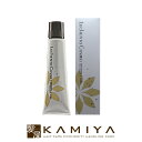 【最大5%OFFクーポン対象】フォード ルーチェントコスメ ブラウンティント ピンクブラウン ヘアマニキュア 150g|カラー剤 業務用 白髪染め ヘアカラー 白髪染め フォードヘア ルーチェント P/L P/M P/D 白髪染め カラーリング グレイヘア ヘアマニキュア