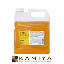 【美容家電10%クーポン配布中】【正規品】ハホニコ ディスデモカ ヘアクレンジング 【シャンプー】4L HAHONICO 美容院専売