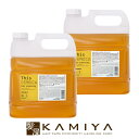 【美容家電10%クーポン配布中】ハホニコ ディスデモカ ヘアクレンジング 4L×2個|シャンプー ヘアケア クレンジングシャンプー 頭皮用 クレンジング 頭皮ケ...