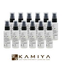 【美容家電10%クーポン配布中】【正規品】ハホニコ 十六油 60ml×12個セット|hahonico ヘアオイル 洗い流さないトリートメント トリートメントオイル アウトバストリートメント 紫外線ケア UVケア UVプロテクション 紫外線ガード ヒーティング対応 ドライヤー