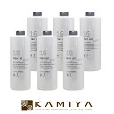 【美容家電10%クーポン配布中】【正規品】ハホニコ 十六油 1000ml ポンプなし 業務用×6個セット|hahonico ヘアオイル 洗い流さないトリートメント トリートメントオイル アウトバストリートメント 紫外線ケア UVケア UVプロテクション 紫外線ガード