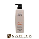 【美容家電10%クーポン配布中】ホーユー プロフェッショナル プロマスター カラーケア リッチ ヘアトリートメント 600g|hoyu professional ホーユー プロマスターカラー ホーユートリートメント ホーユー トリートメント 美容院専売