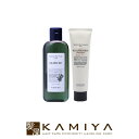 【美容家電10%クーポン配布中】ルベル ナチュラルヘアソープ ウィズ SW 240ml 1個 + ヘアトリートメント ウィズ RP 140g 1個 計2個 お試しセット|ルベル セット おすすめ品 美容院専売