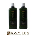 【全商品対象クーポン配布中】ニューウェイジャパン パイウェイ 薬用 ヘアローション 1000ml×2個セット|育毛・養毛剤 頭皮ケア スカルプケアローション スカルプケアエッセンス スカルプケア 育毛剤 頭皮用美容液 養毛剤 ローション ボトル 本体 1L