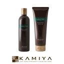 【全商品対象クーポン配布中】パシフィックプロダクツ サローネスーパーブラウン シャンプー 330ml 1個+サローネスーパーブラウン トリートメント 250g 1個 計2個セット 美容院専売