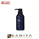 【LINE登録で300円クーポン】リックス 薬用グローキープシャンプー|rics 300ml 800ml 3L レギュラーサイズ ポンプ 本体 ボトル 詰換え 3000ml 詰換え用 詰替用 レフィル パウチ 業務用 男性用 クールシャンプー メンズ メントール