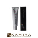 【全商品対象クーポン配布中】セフティ グリジオティントプレイ 150g【グレイゾーン】|セフテイ カラー剤 美容院専売