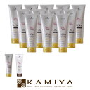 【LINE登録で300円クーポン】シュワルツコフ bc クア カラーケア トリートメント 250g×12個セット|カラーセーブ カラースペシフィーク シュワルツコフ BC KUR ヘアカラー カラーケア トリートメント チューブ 本体 トライアル お試し ヘアケア サロン専売