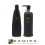 【クーポン対象28日01:59迄】資生堂プロフェッショナル アピセラ ヘアソープ 250ml+リバイタライザー 240g 計2個 お試しセット|shiseido professional apithera シャンプー トリートメント ダメージケア 傷んだ髪 ヘアカラー カラーケア パーマ