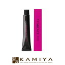 資生堂プロフェッショナル プリミエンス マルチカラーグループ 第1剤 80g アクアマット|shiseido professional AM13 AM11 AM9 AM8 AM7 医薬部外品 カラーリング プロ専用商品 業務用 カラー剤 ヘアカラー【メール便対応4個まで】