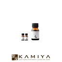 【LINE登録で300円クーポン】サンコール キートス ループ ヘアオイル 10ml|モイスト グロス トリートメントオイル 洗い流さないトリートメント アウト...