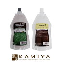 【全商品対象クーポン配布中】サンコール R-21 ストレート コスメ 1 EX 1液 400g+2 クリーム 2液 400ml 計2個セット|R-21ストレートコスメ1EX R-21ストレート コスメ ストレートコスメ コスメEX1 R-21ストレートコスメ2クリーム 美容院専売