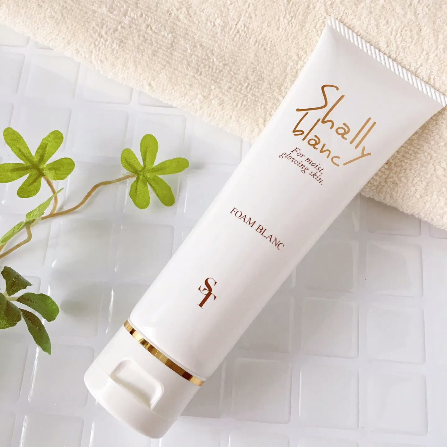 【LINE登録で300円クーポン】SUNTIERA サンティエラ シャリーブラン フォームブラン 90g|国産 洗顔 もっちり泡 弾力泡 モコモコ泡 優しい泡 ...