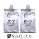 【全商品対象クーポン配布中】テクナール シャンプー 1000ml 詰替用×2個セット|頭皮ケア スキャルプ スカルプ ケア シャンプー フケ シャンプー フケ かゆみ 頭皮 臭い 詰め替え レフィル パウチ ヘアケア サロン専売 美容室専売 美容院専売
