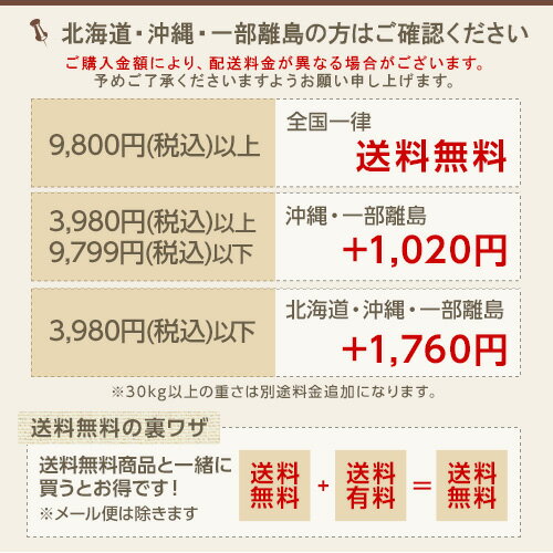 【クーポン対象5月6日23:59迄】ムコタ ア...の紹介画像2