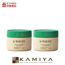 【全商品対象クーポン配布中】&WAVEY コンプリートコントロールグリース 100g×2個セット|スタイリング剤 ヘア セット スタイリング ヘアスタイル うるおい 潤い 艶 つや グリース キープ リッジ パーマ レイヤー マッシュ スタイル ヘアケア サロン専売