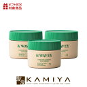 【美容家電10%クーポン配布中】&WAVEY コンプリートコントロールグリース 100g×3個セット|スタイリング剤 ヘア セット スタイリング ヘアスタイル うるおい 潤い 艶 つや グリース キープ リッジ パーマ レイヤー マッシュ スタイル ヘアケア サロン専売