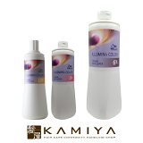 ں5%OFFݥоݡۥ ץեåʥ ߥ ꡼ǥ٥åѡ 1000ml 2|顼 wella illumina color إ顼 륫ꥫ顼 ĥ䥫顼 顼  ȱ 쥤إ إ顼