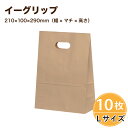 紙袋 角底袋 イーグリップ L 茶無地 10枚入 小判抜き パックタケヤマ 巾210×マチ100×高さ290mm テイクアウト お持ち帰り ペーパーバッグ プレ...