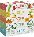 スコッティ (SCOTTIE) ティッシュペーパー フラワーボックス 320枚(160組)5箱×12パック(60箱)　まとめ買い　送料無料