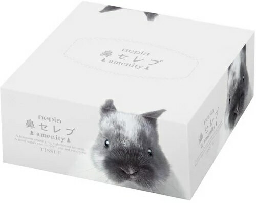 王子ネピア　鼻セレブティッシュ　amenity　124枚（62組）×80個入り　まとめ買い　送料無料