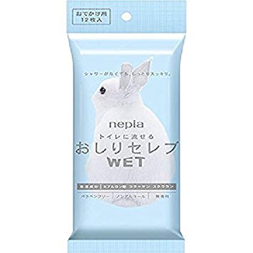 王子ネピア ネピア おしりセレブWET お出かけ用 12枚 無香料 60パック