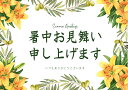 ギフトカード【暑中お見舞い申し上げます】　Summer Greetings 商品とご一緒にお求めください　単体でのご購入はできません　　サマーギフト　夏のご挨拶