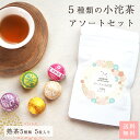 プーアル茶 熟茶5種類セット小沱茶 