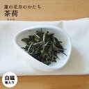 中国茶器 茶荷 送料無料 茶葉皿 白磁器 台湾茶 中国茶 台湾茶器 中国茶器 茶則 かわいい茶器 茶器セット 茶器 台湾雑貨 中国雑貨 輸入茶器 茶道具 アジア...