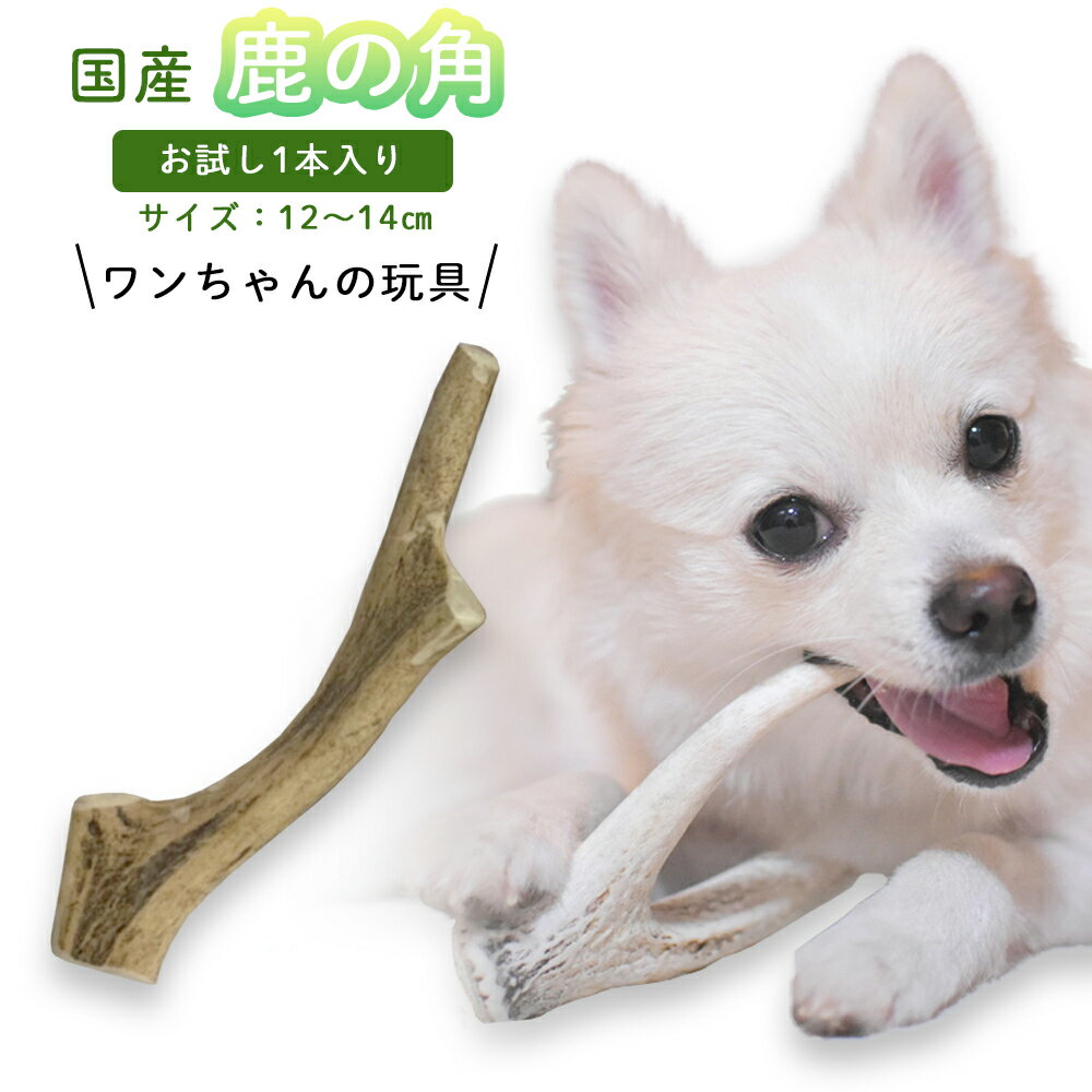 犬の玩具 鹿の角 国産 お試し1本入り 約10~16cm 犬のおもちゃ 中型犬 大型犬 小型犬 しつけ いたずら 甘噛み防止 ド…