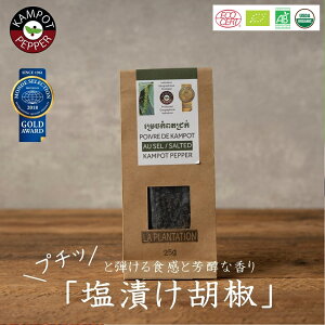 塩漬け胡椒 25g モンドセレクション金賞 カンボジア産 最高級こしょう カンポットペッパー 生胡椒 天日海塩 無農薬 無化学肥料 無添加 オーガニック フェアトレード ブラックペッパー 黒胡椒 黒コショウ スパイス 無添加調味料 香辛料 コショウ お取り寄せ 美味しい おいしい